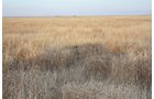 Property photo 70 - Kansas Land Auction - 960 Acres - 7 Farms in 3 Counties